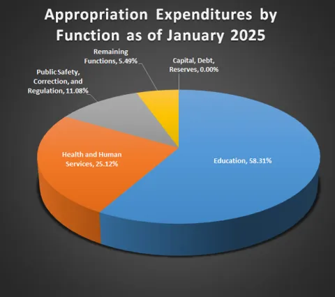 January 2025 GFMR Pie Chart