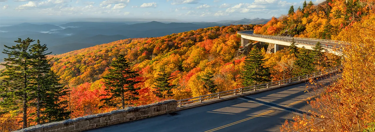 Stock Image of NC highway